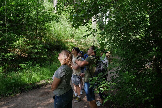 3 in 1 Tour Brewery & Castle in Bohemian Paradise Unesco Geopark - Prachov Rocks sandstone maze: the hike part you’ll remember
