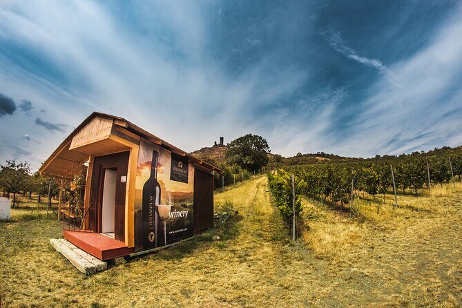 A delightful wine tasting in the scenic countryside with lunch - Lunch at the winery area: Czech food, not a rushed stop