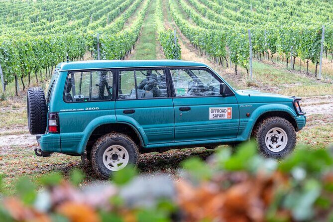A delightful wine tasting in the scenic countryside with lunch - Weather, comfort, and what to bring