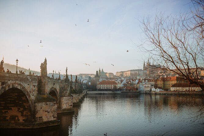 Award-Winning Prague Evening Old Town Food and Drink Tour - What you’ll eat and drink: a real Czech meal plan