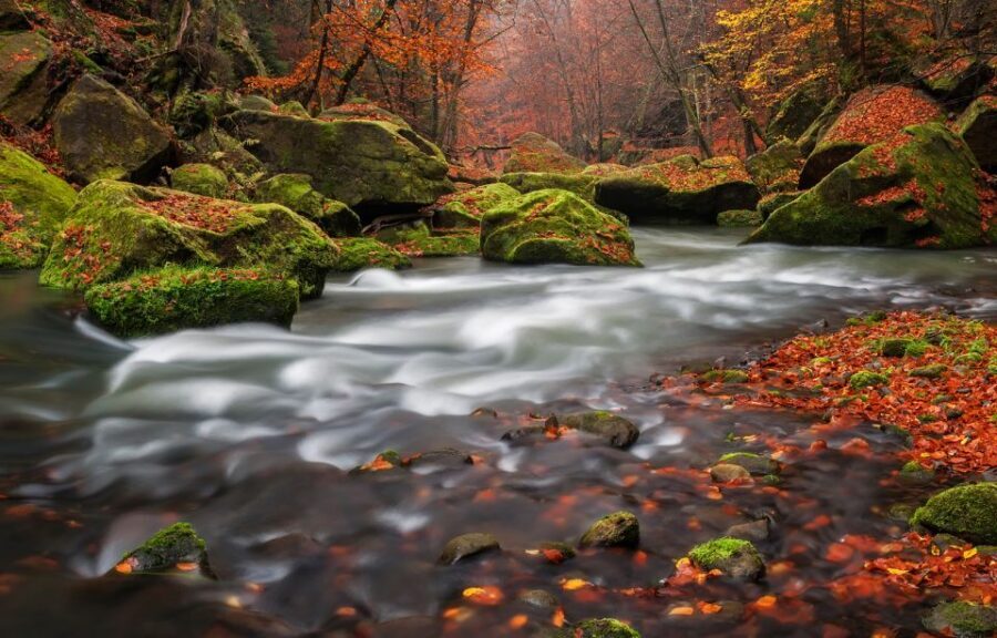 Bohemian Switzerland: Private Day Trip from Prague - Hřensko: The Historic Town Stop That Adds Texture