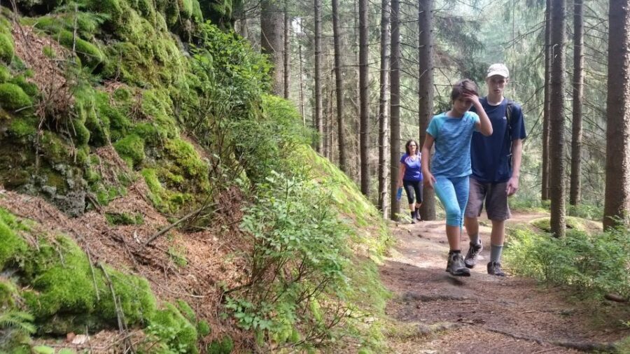 Bohemian Switzerland: Private Day Trip from Prague - Getting There: Hotel Pickup, Comfort Cars, and Real Timing