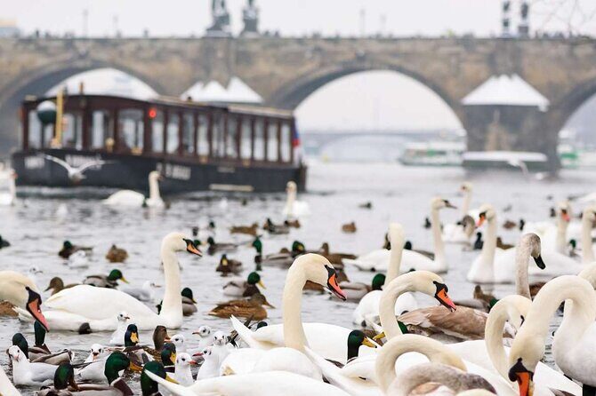 Charles Bridge: River Boat Cruise & Guided Tour ️with PragueWay - Charles Bridge Museum: a 15-minute ticketed bonus