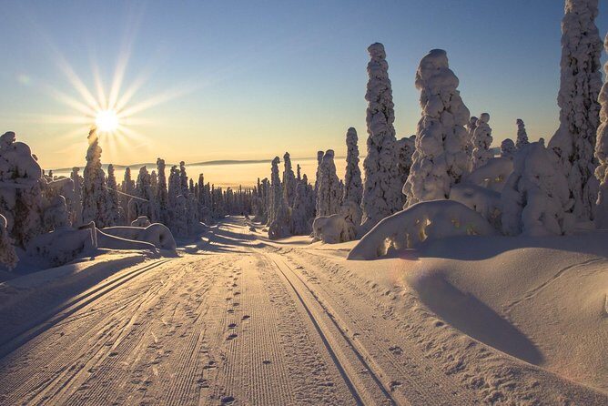 Cross-Country Skiing Guided Tour From Prague - Gear Up and Get Comfortable: Equipment, Safety Briefing, and English Instruction