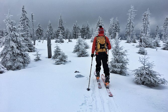 Cross-Country Skiing Guided Tour From Prague - Practical Tips for a Smoother Day on Snow