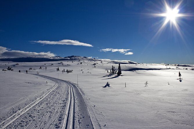 Cross-Country Skiing Guided Tour From Prague - 5 Hours in the Jizera Mountains: Trails, Route Variety, and Real Cross-Country Fun