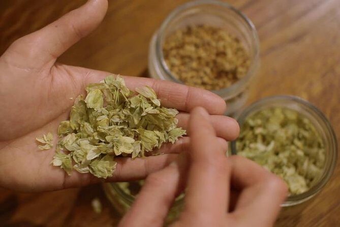 Czech Beer Tasting Experience - The one-stop itinerary: what happens during the tasting