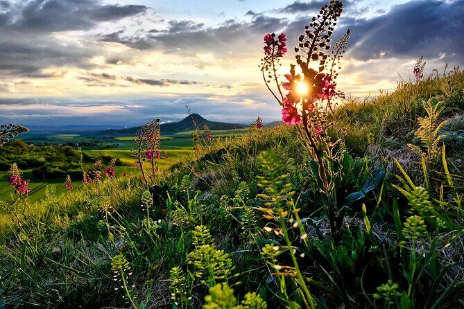 Czech garnet panning, scenic drive, farm & cheese, lunch & beer - Stone suns: sun-shaped rock formations from volcanic action