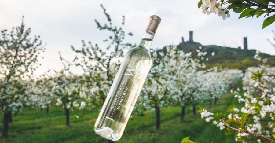 Czech Vineyards and Wine Tasting 4WD Tour with Lunch - Key Things to Know Before You Go