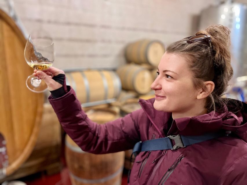 Czech Vineyards and Wine Tasting 4WD Tour with Lunch - A Comfort-Focused Wine Day From Prague