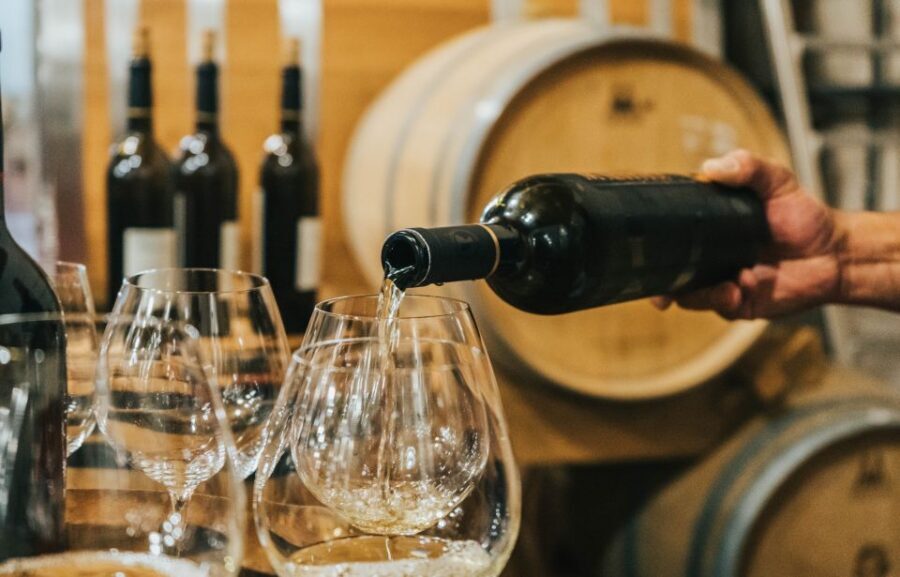 Czech Vineyards and Wine Tasting 4WD Tour with Lunch - Welcome Drink and Cellar Photos: The Winery Moment