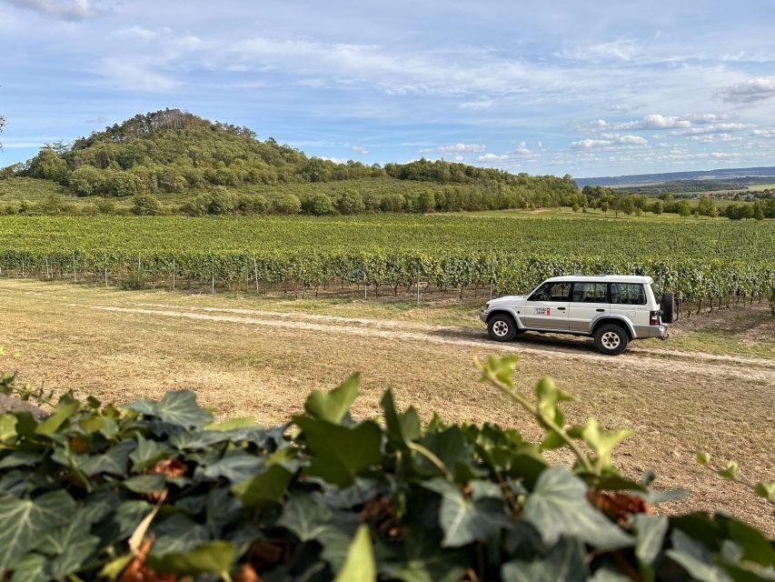 Czech Vineyards and Wine Tasting 4WD Tour with Lunch - Terroir Talk: Limestone and Basalt Soil