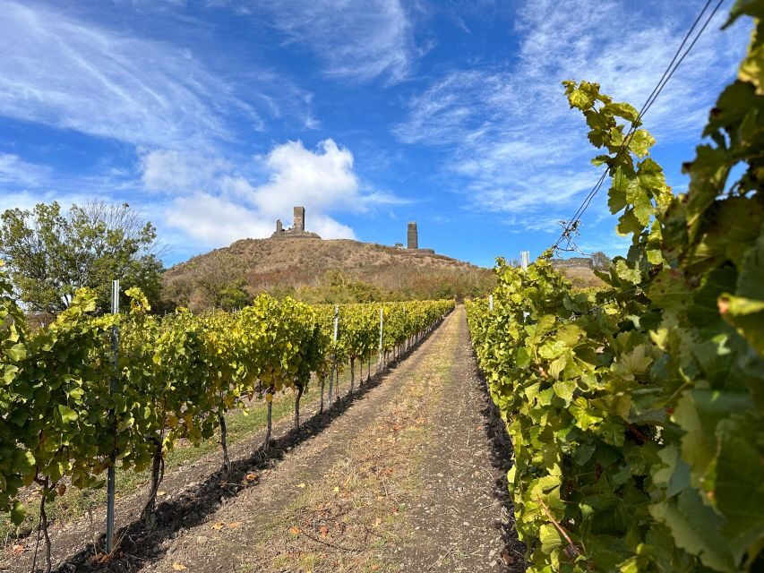 Czech Vineyards and Wine Tasting 4WD Tour with Lunch - What You’ll Drink: White Wines Lead the Show