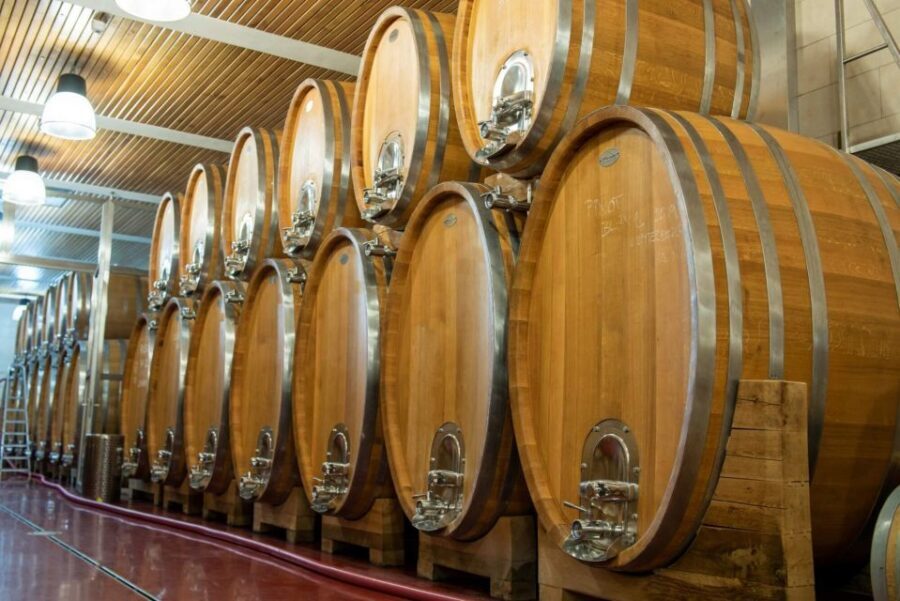 Czech Vineyards and Wine Tasting 4WD Tour with Lunch - Lunch With Beer Included: Czech Pub Comfort