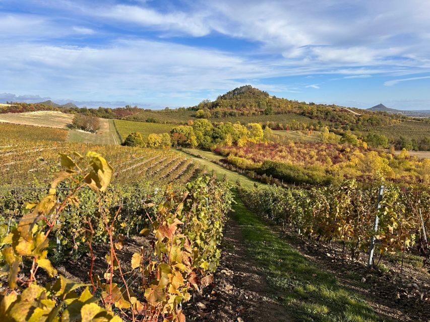 Czech Vineyards and Wine Tasting 4WD Tour with Lunch - The Castle and Cemetery Stops: Gothic Views and Jewish History
