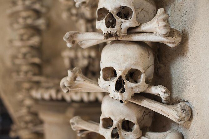 Day Trip to Kutná Hora by train from Prague - Stop 1: The Train Ride That Sets the Tone