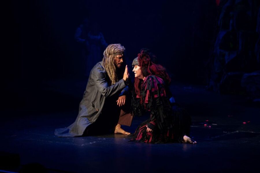 Disney's Tarzan Musical - Price and value: is $72 a fair deal for this setup?