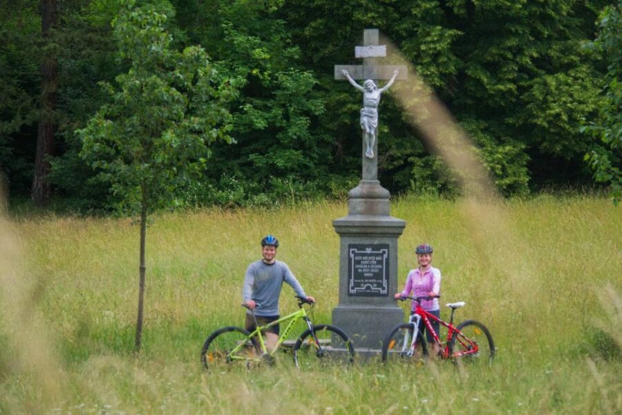 E-Bike Day Trip: Visit a Roman Castle and Taste Craft Beer - Lunch and Beer at the Microbrewery: Goulash Comfort and Real Czech Pints
