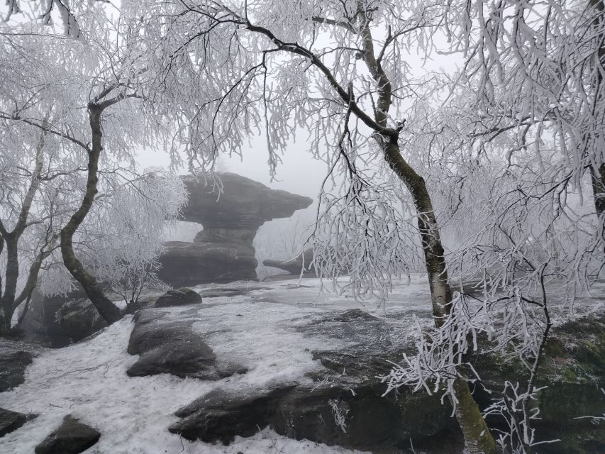 From Prague: Bohemian & Saxon Switzerland Iconic Day Trip - Bohemian Switzerland Lunch Break: Real Czech Food, Not a Stopgap