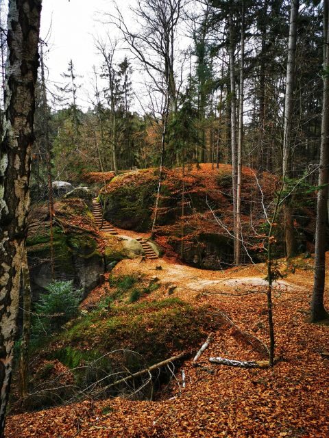 From Prague: Full-Day Bohemian Paradise Guided Hiking Trip - Key things you’ll notice right away