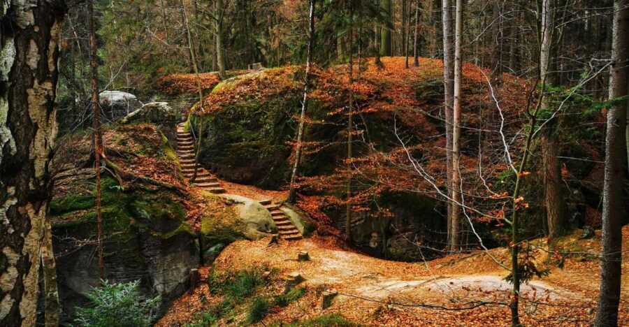 From Prague: Full-Day Bohemian Paradise Guided Hiking Trip - Finding the meeting point without stress