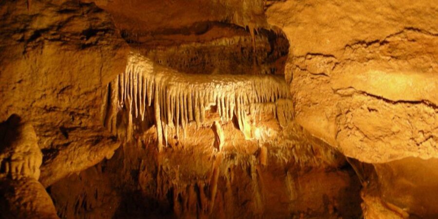 From Prague: Karlštejn Castle & Koněprusy Caves Tour - Price and Value: Is $169 Fair for What You Get?
