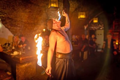 From Prague: Medieval Dinner, Show, Castle and Brewery - Dětenice Castle rooms: Baroque showpieces and photo chances