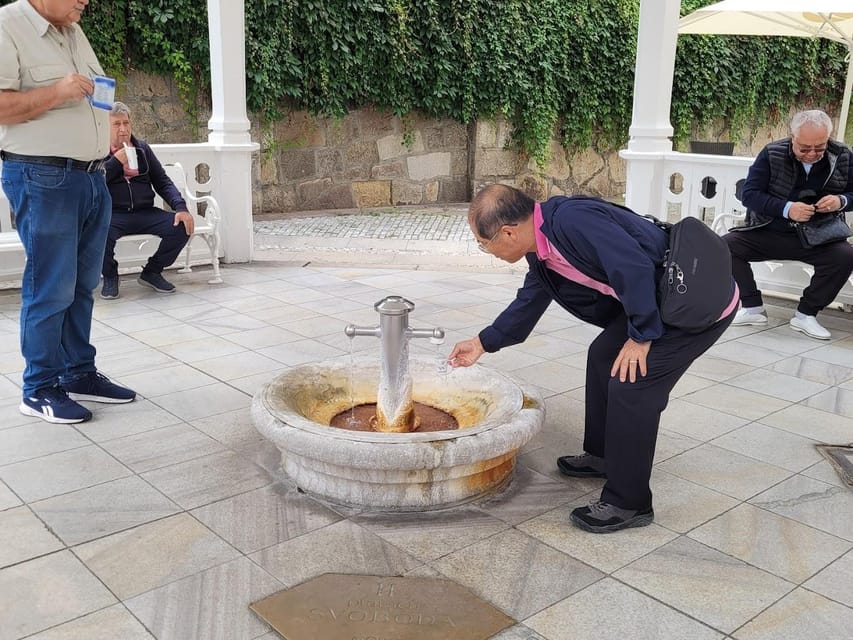 Karlovy Vary: Mineral Hot Springs Tasting and Walking Tour - Key takeaways before you go