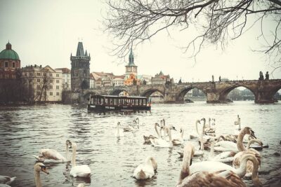 Magical Prague Private Half-Day Tour - Pickup in downtown Prague: simple, flexible, and human-scaled