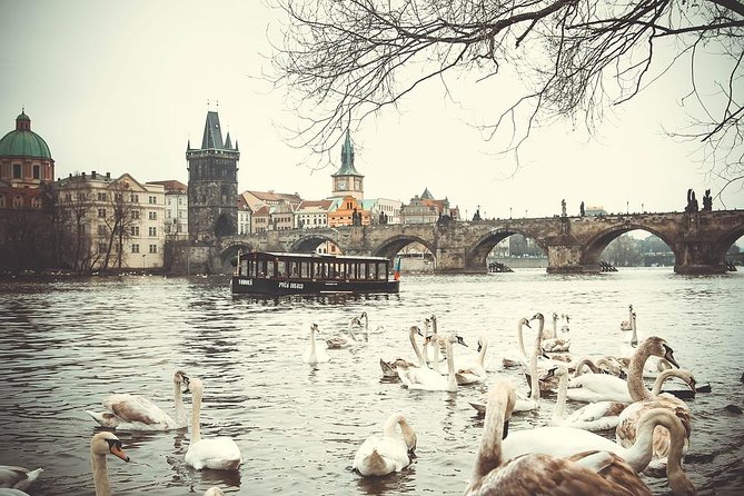 Magical Prague Private Half-Day Tour - Pickup in downtown Prague: simple, flexible, and human-scaled