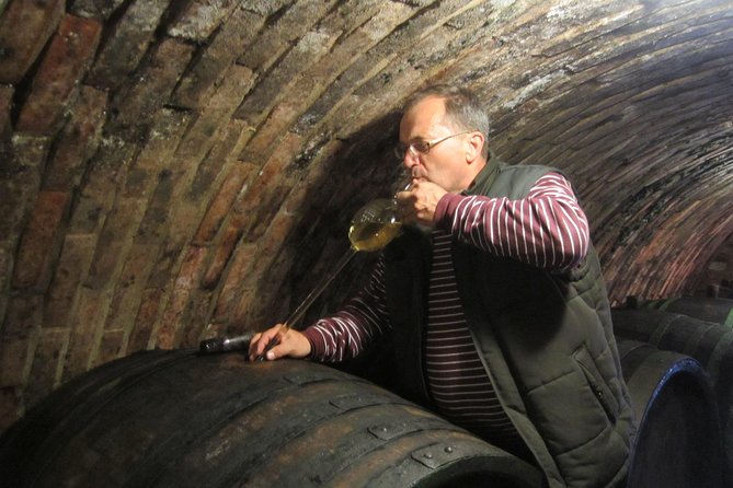 Moravian wine trails - Brno pickup and the rhythm of an 8-hour wine day