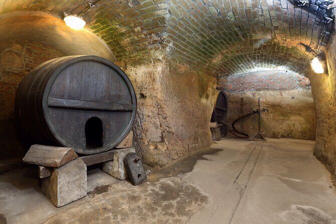 Pilsen Historic Underground Tour with a Glass of Beer - Walking Below Pilsen: The Underground Labyrinth You’ll See