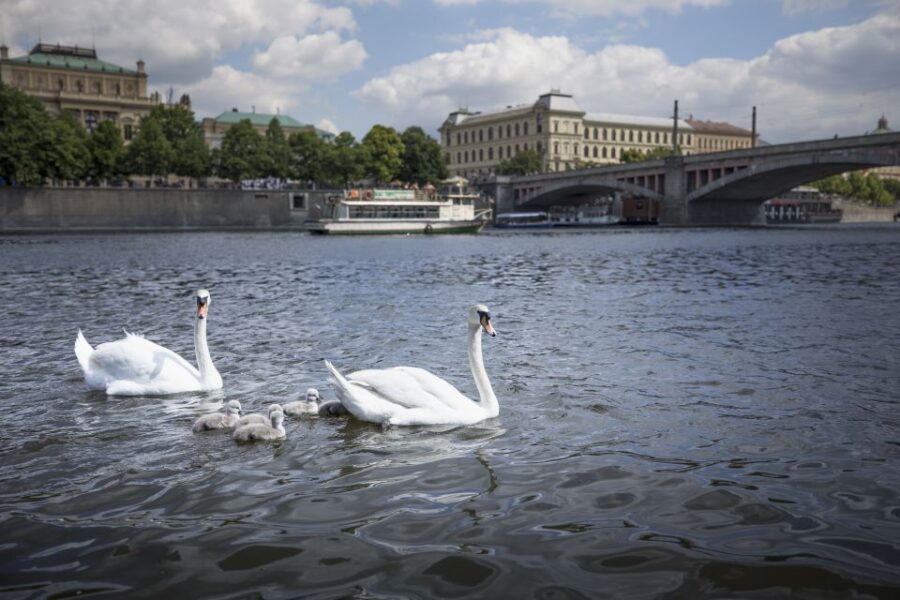 Prague: 3–Hour Castle Grounds Walking Tour and River Cruise - Malá Strana and Kampa Island: the quieter side of the postcard