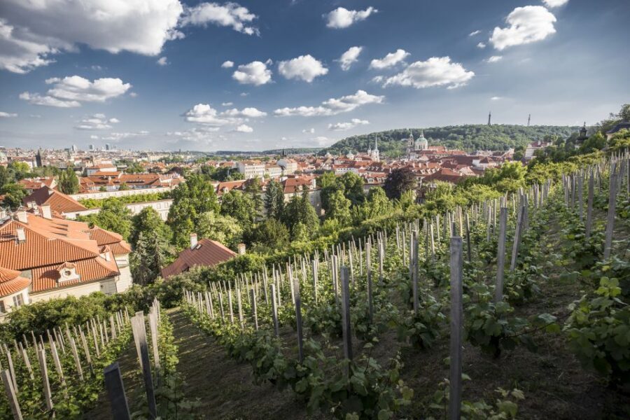 Prague: 3–Hour Castle Grounds Walking Tour and River Cruise - Meeting point: finding Týnská Street without stress