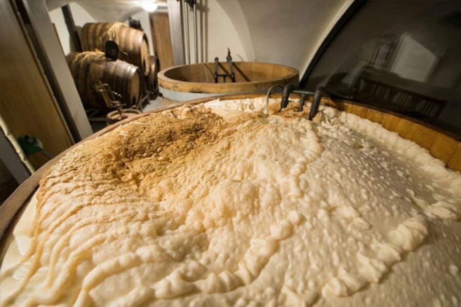 Prague: Beer Tasting and Brewery Tour - Who This Tour Fits (and Who Might Skip It)