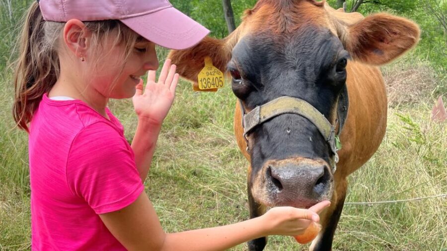 Prague: Bohemian Uplands Garnet Panning&Animal Farm 4WD Tour - Conversations you can actually have (thanks to the group size)