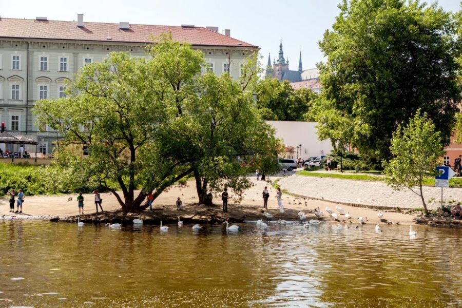 Prague Cruise: 1-Hour on the River Vltava - Getting to River Boats Prague pier (and why it matters)