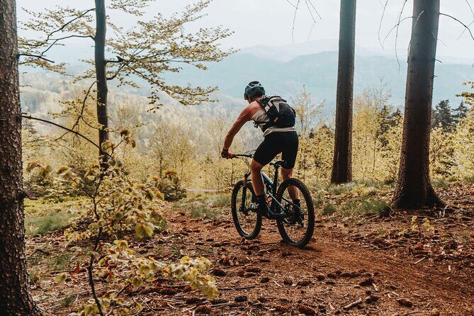 Prague E-Mountain Biking Adventure In The Bohemian Paradise - E-Bike Setup and Real Trail Levels: No Prior MTB Required