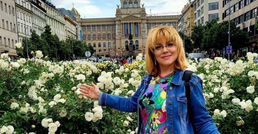 Prague: Highlights of Prague Private Half-Day Tour by Car - A private car tour that keeps Prague moving