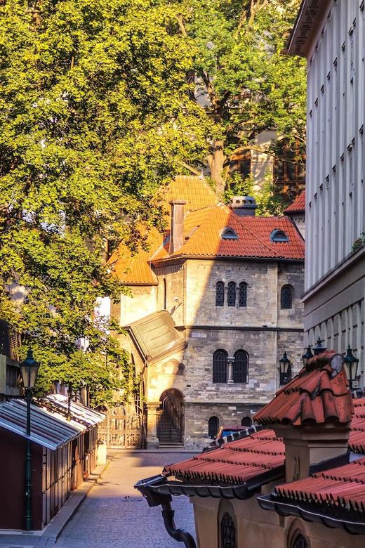 Prague: Jewish Quarter Half-Day Private Walking Tour - The Judaica angle: what “the largest collection” means for your visit
