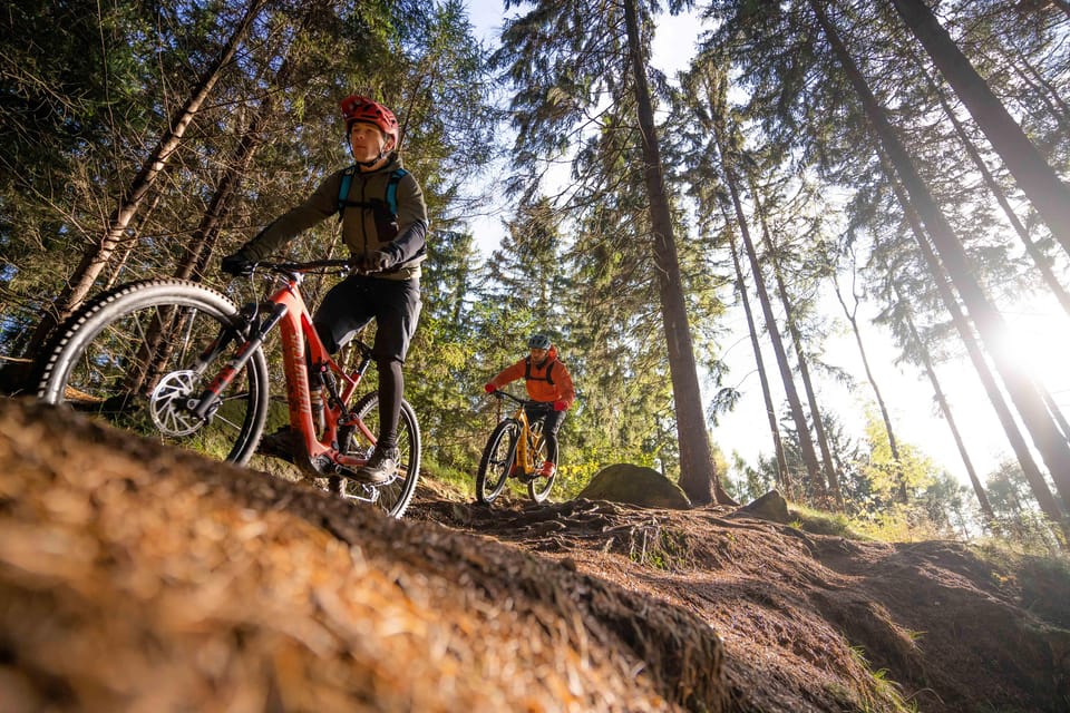 Prague Mountain Biking: Blast Through The Best Singletracks - Climbing up, then riding hard down: the “choose your difficulty” plan