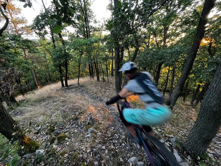 Prague Mountain Biking: Blast Through The Best Singletracks - Forest singletracks and viewpoint stops over the Berounka River