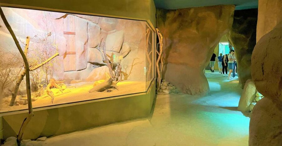 Prague: Prague Zoo Audio Guide with E-Ticket - Key things I’d prioritize before you go