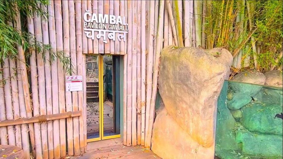 Prague: Prague Zoo Audio Guide with E-Ticket - Comfort, food stops, and what a long visit actually feels like