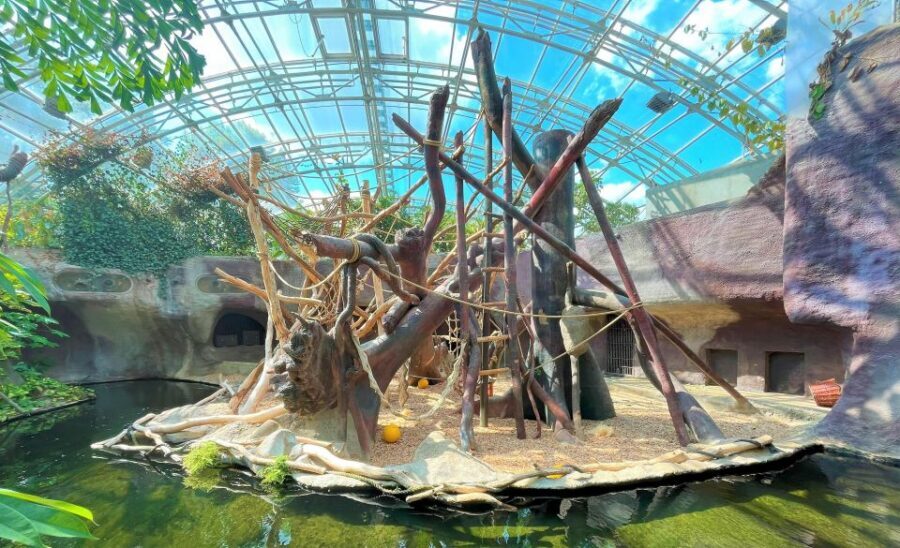 Prague: Prague Zoo Audio Guide with E-Ticket - Price and value: is $22 a good deal for a full-day zoo plan?