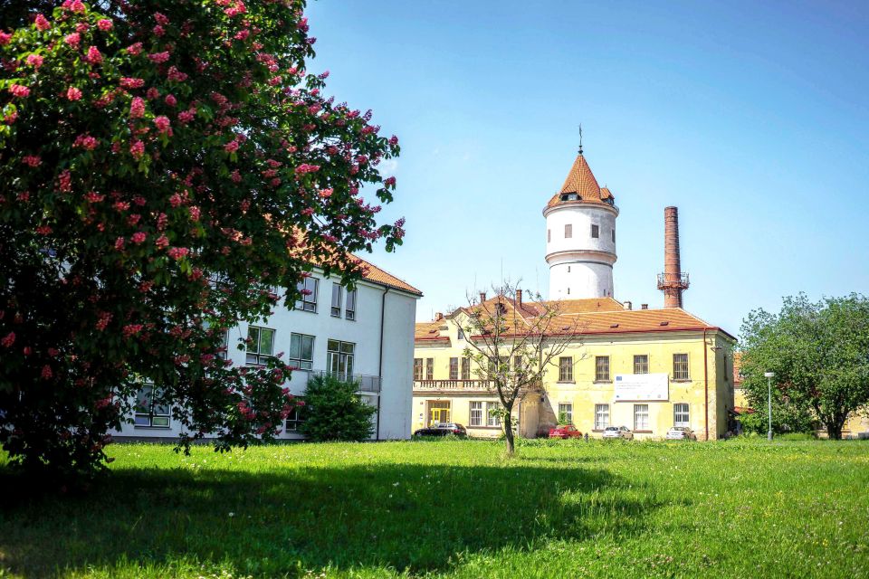 Prague: Psychiatric Hospital and Abandoned Cemetery Tour - Bohnice Hospital Meet Point: Getting There Without Stress