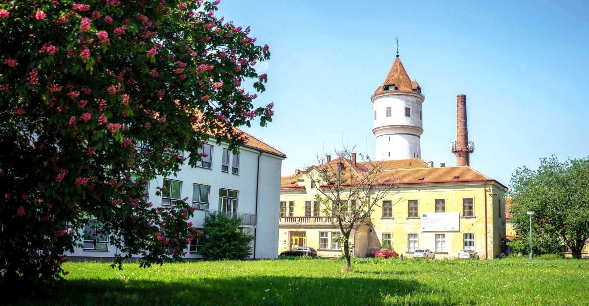Prague: Psychiatric Hospital and Abandoned Cemetery Tour - A Real 3-Hour Guided Story, Not a Drive-By