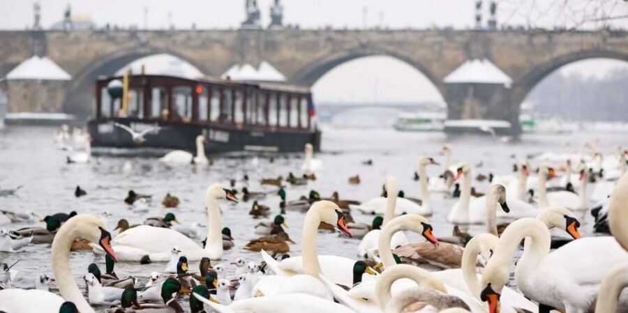 Prague: River Cruise, Charles Bridge Museum, & Walking Tour - Walking from Charles Bridge to the Lesser Town stories