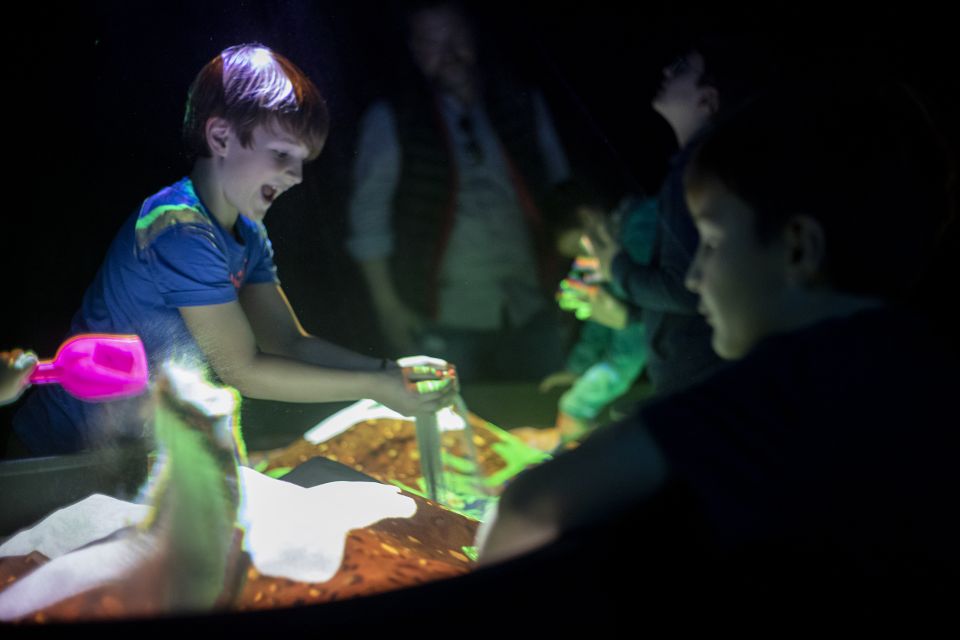 Prague: Ticket to Audiovisual Light Art at Lumia Gallery - The hands-on moments: sound, motion, and why you’ll want to play