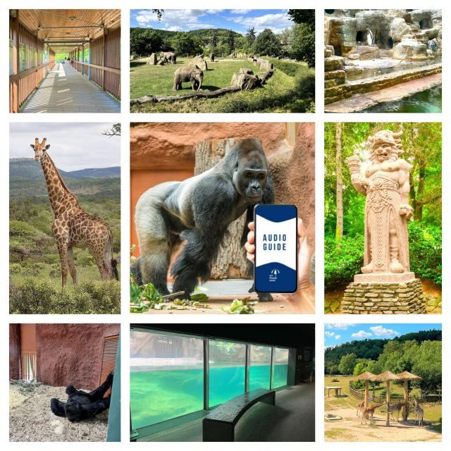 Prague Zoo Online Audio Guide (No ticket) - Quick takeaways before you go